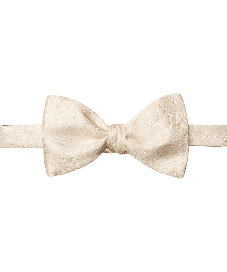 Product Image for Bowtie Paisley Ready Tied