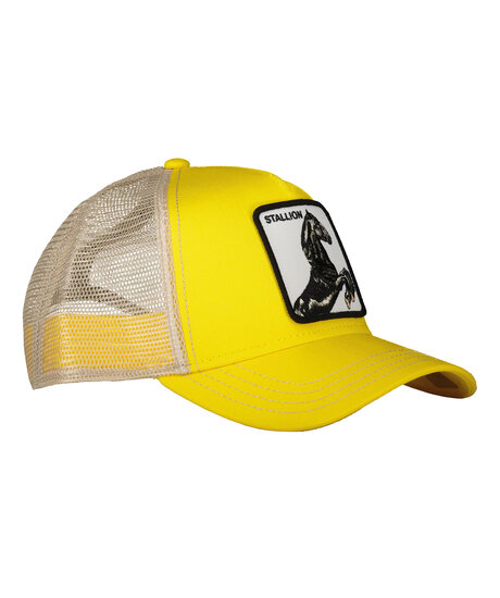 Product Image for The Stallion