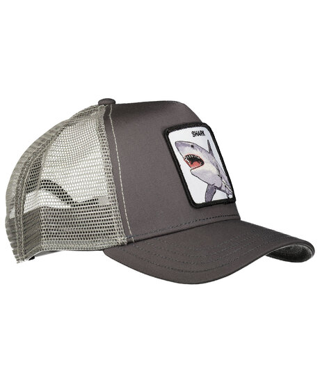 Product Image for Shark Flight
