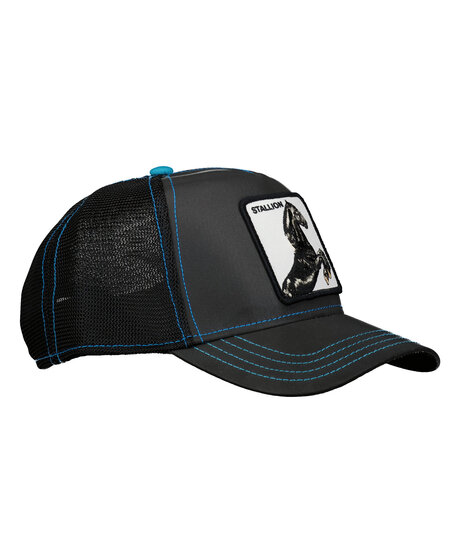 Product Image for Stallion Night Reflective