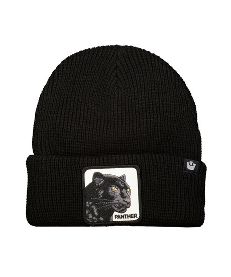 Product Image for Panther Vision