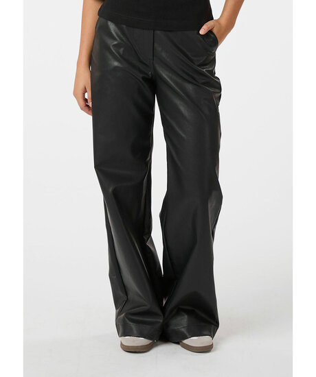 Product Image for Pinur Faux Leather Pants