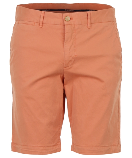 Product Image for Regular Chino Shorts