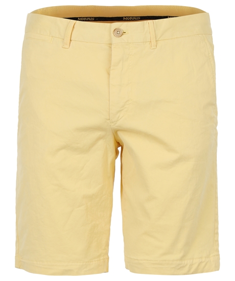 Product Image for Regular Chino Shorts