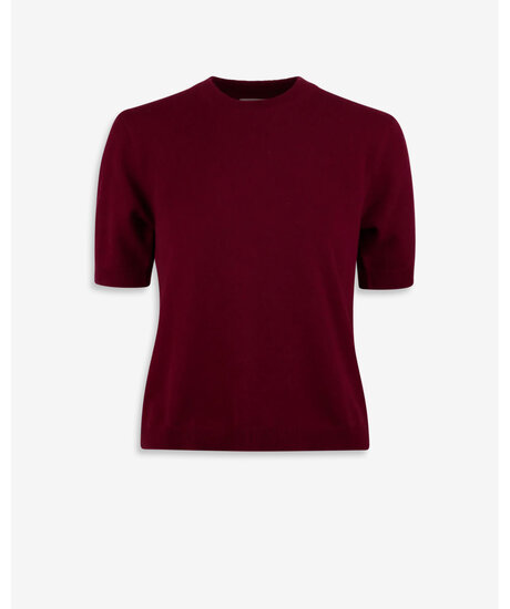 Janet Short Sleeve | Kvinna - Kläder - Hoodies & Tröjor - Stickade tröjor | ModeLejon