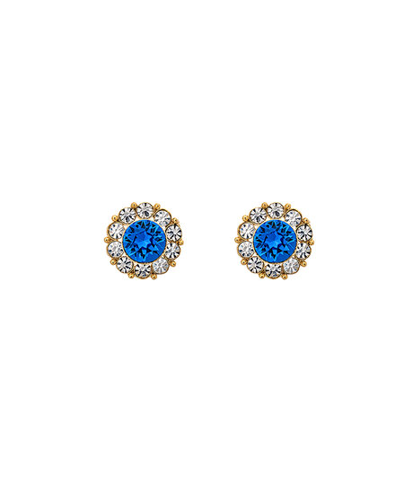 Product Image for Miss sofia earrings
