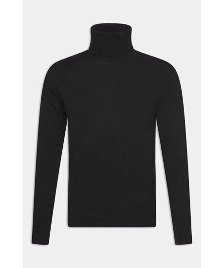 Product Image for Salim rollneck