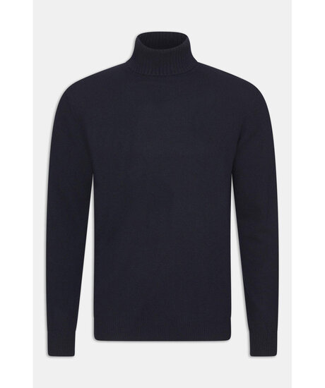 Product Image for Salim rollneck