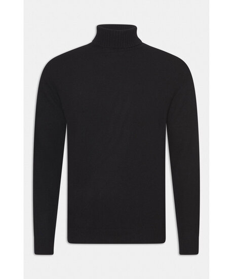 Product Image for Salim rollneck
