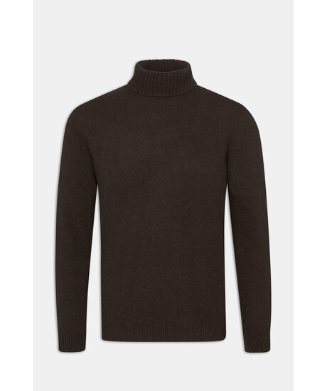 Product Image for Salim rollneck