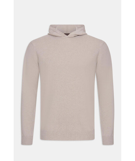 Pascal hoodie