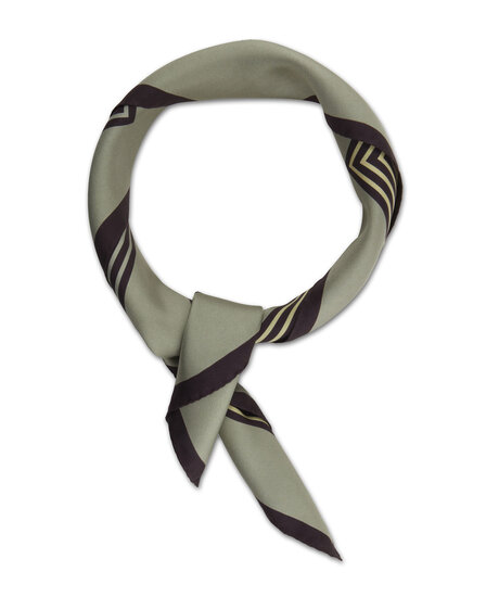 Product Image for Scarf Silk