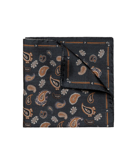 Product Image for PaisleySilk Pocket Square
