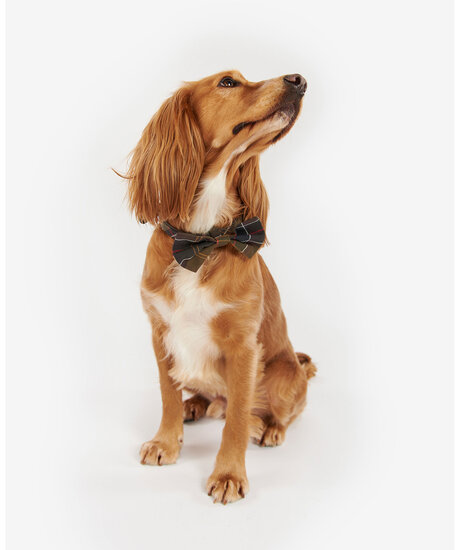 Product Image for Tartan Dog Bow Tie