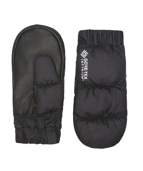 Product Image for Shasta Mitten Gore-Tex