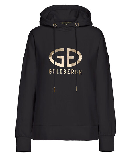 Product Image for Harvard hoodie