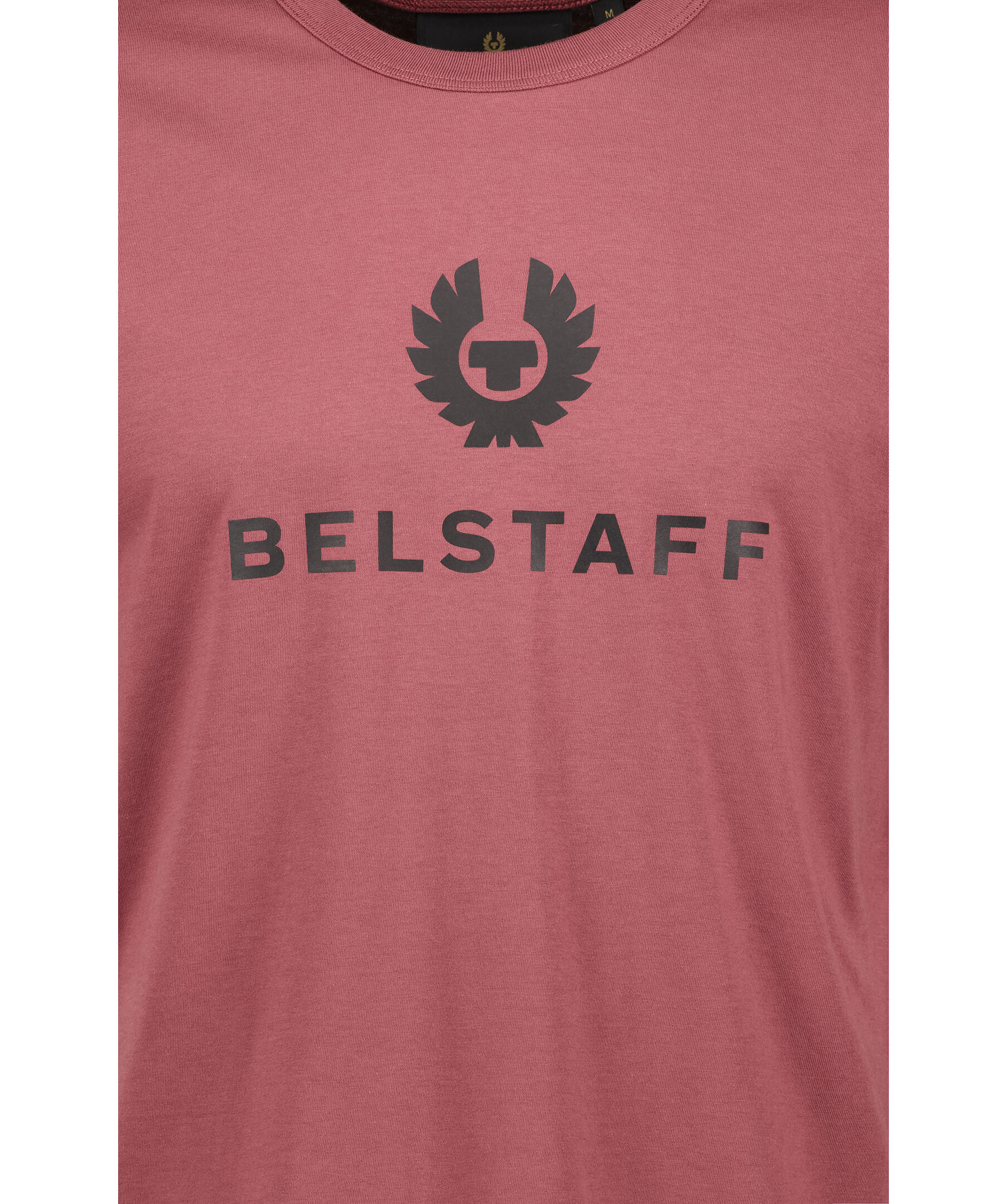 Signature t shirt 3