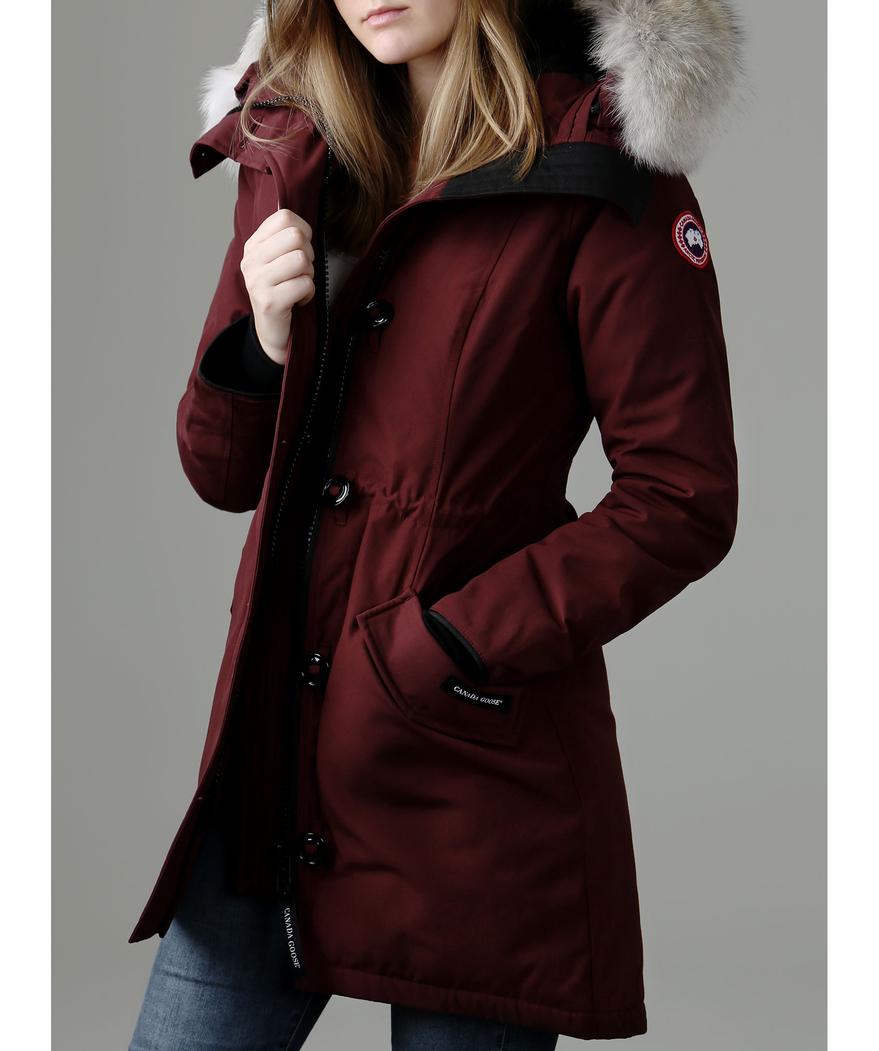 canada goose rossclair dam canada goose rossclair dam