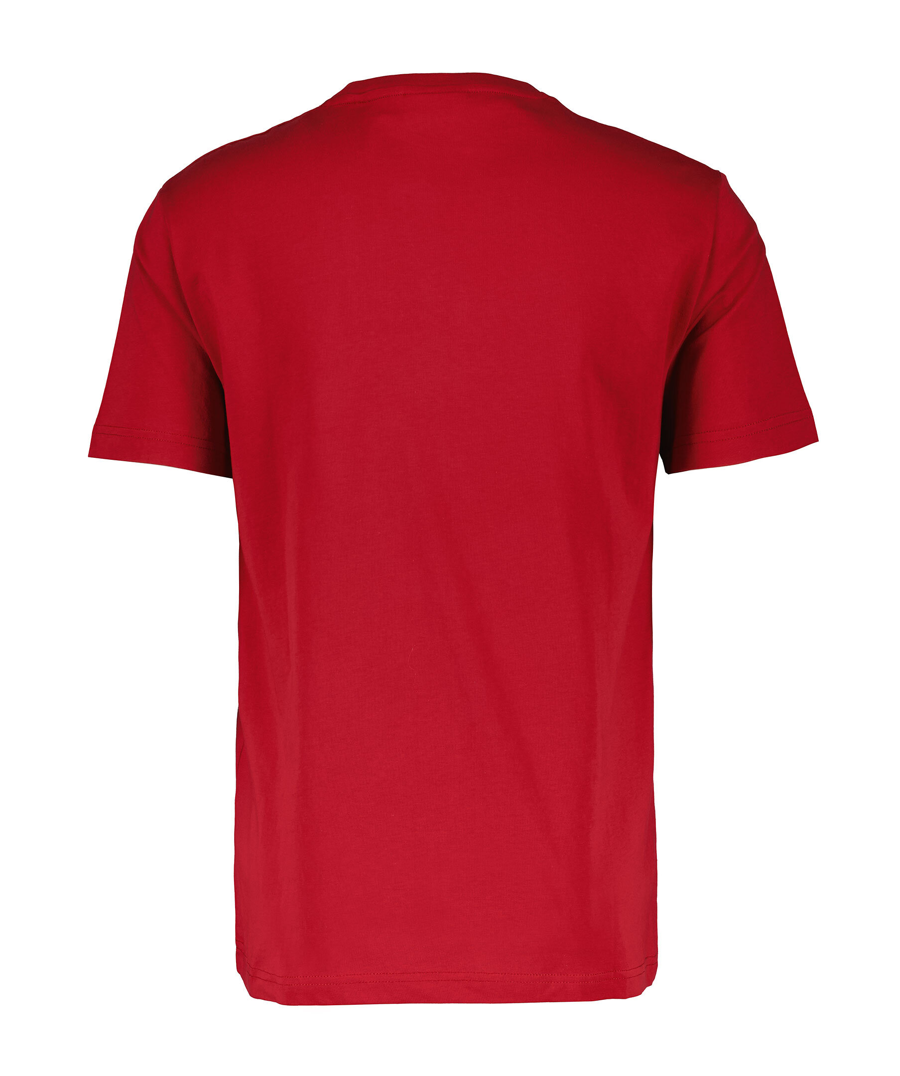 Graphic T Shirt 2