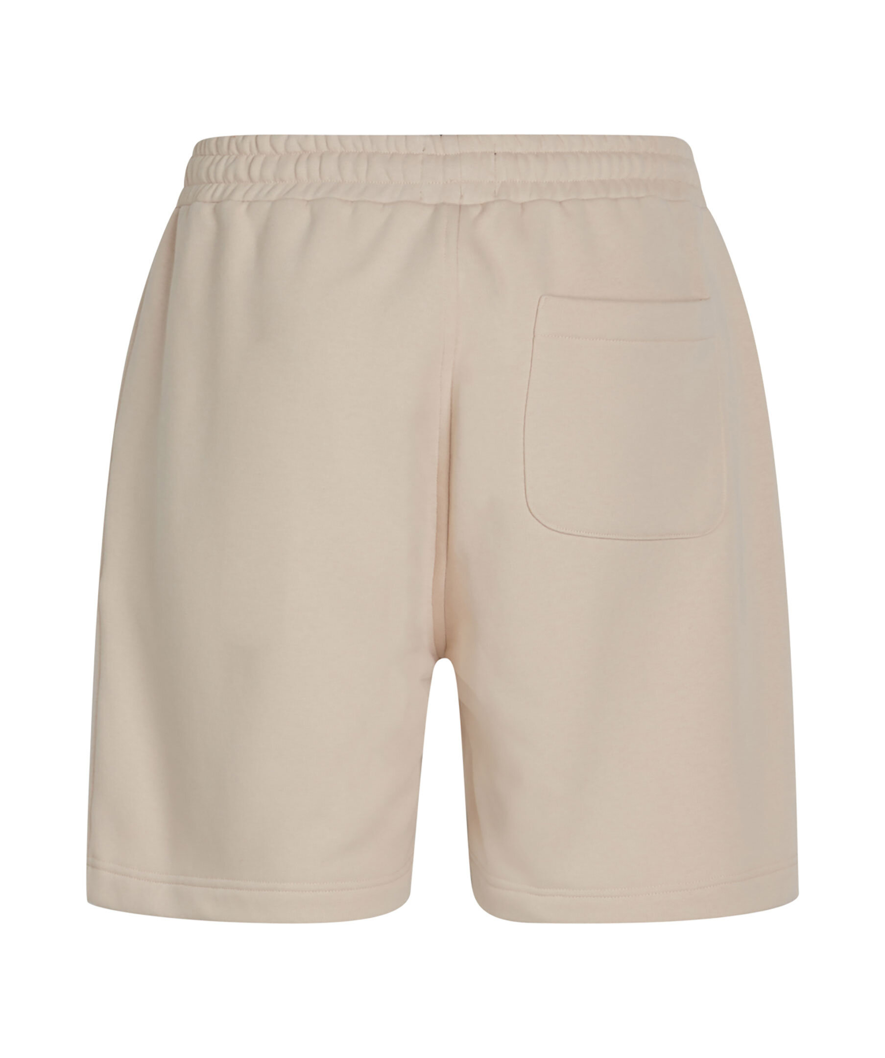 Standard Logo Shorts 2
