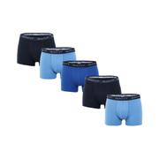 5-Pack Trunk