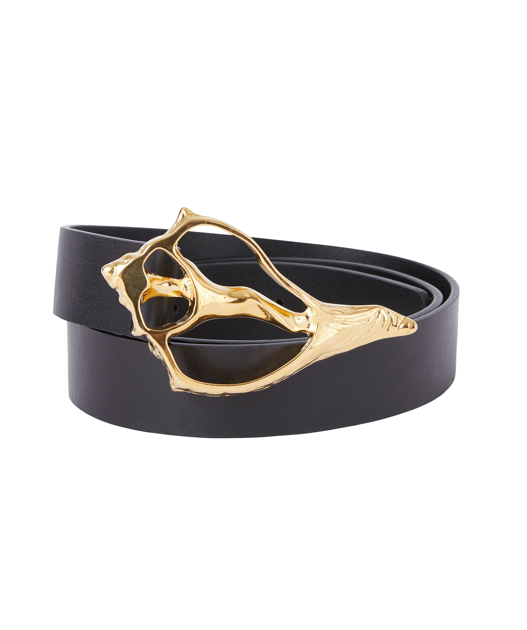 Shell Wide Belt 1