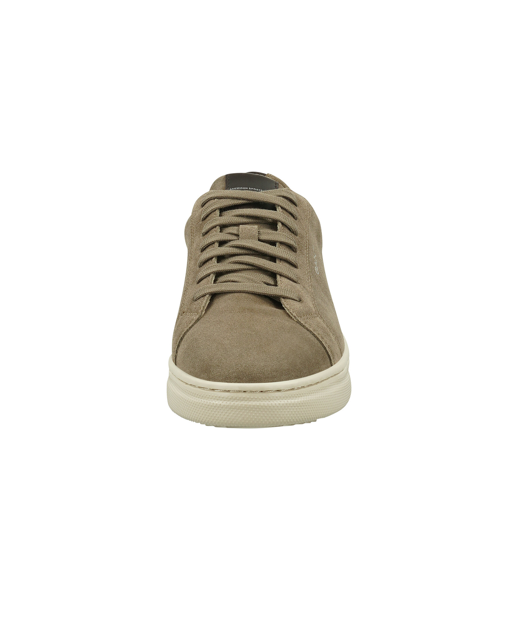 Joree Sneaker 2