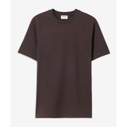 Filippa Tee