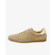 Sperly Low Lace Shoe