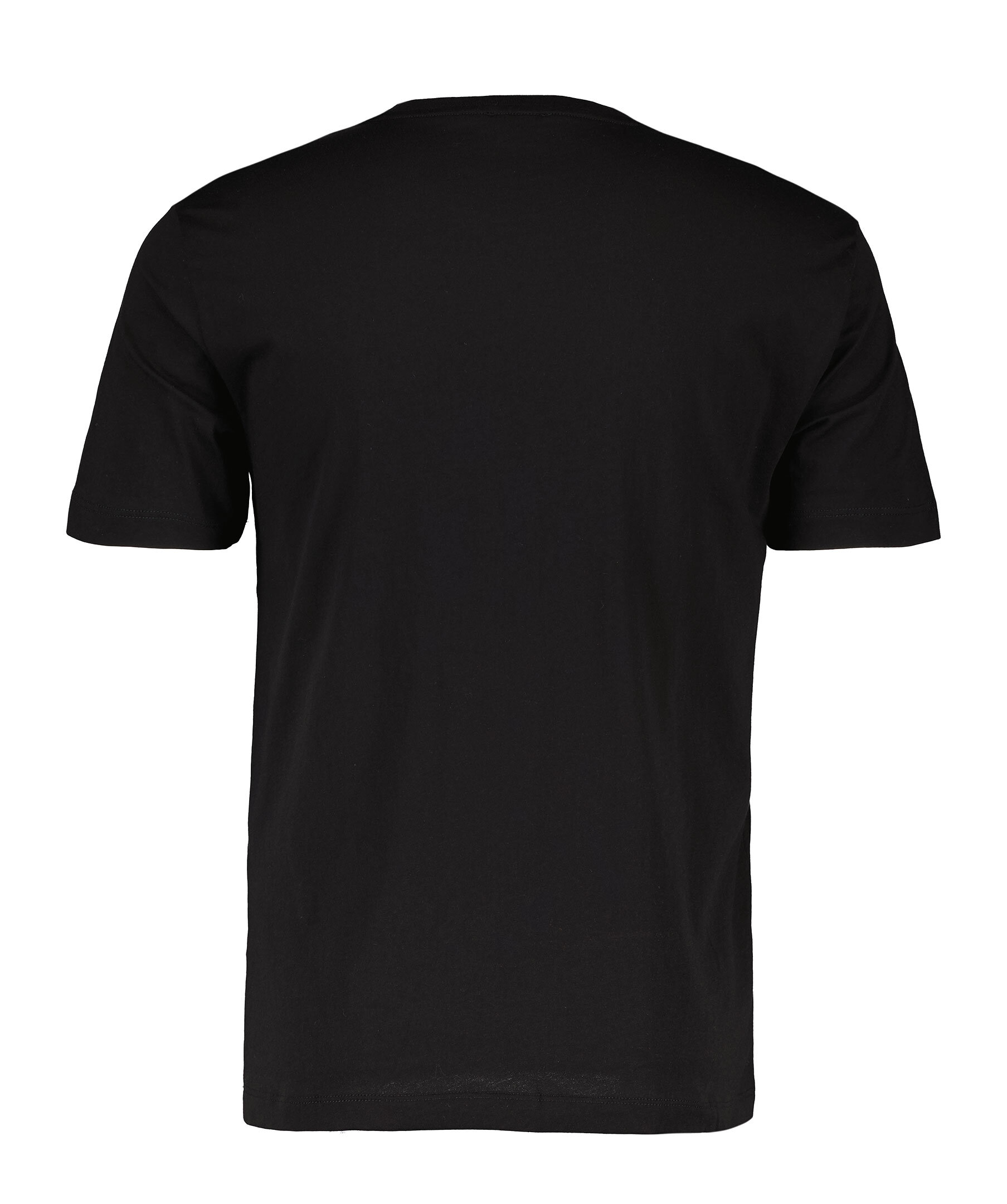 T Shirt Silver Logo 2