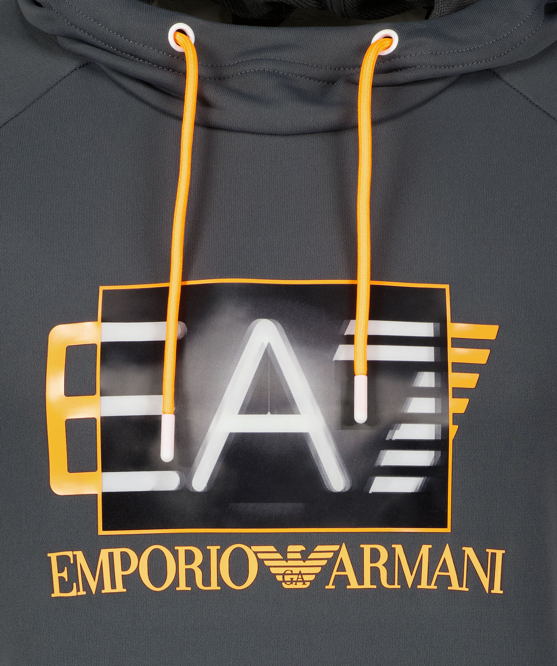 Logo Hoodie 2