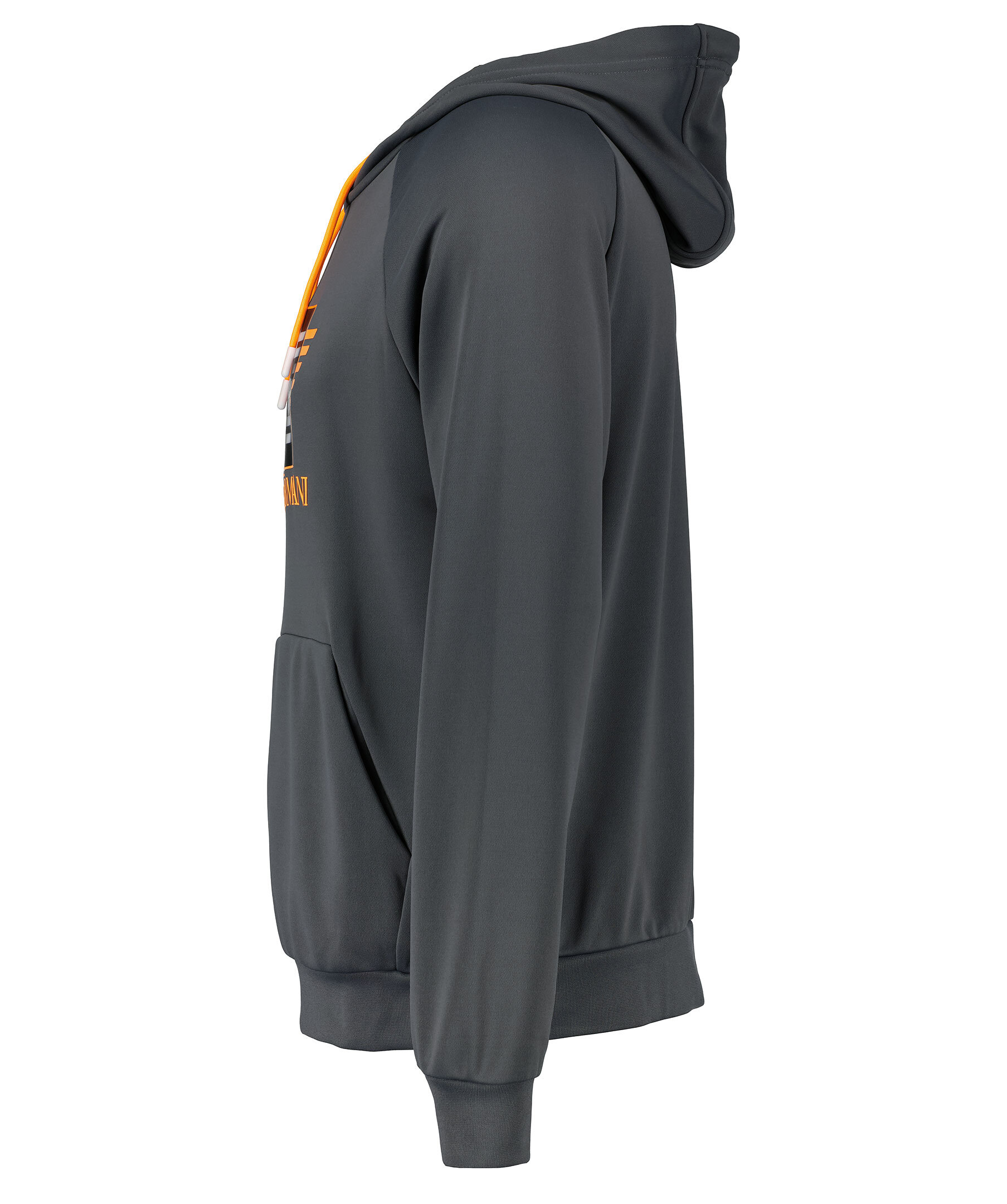 Logo Hoodie 3