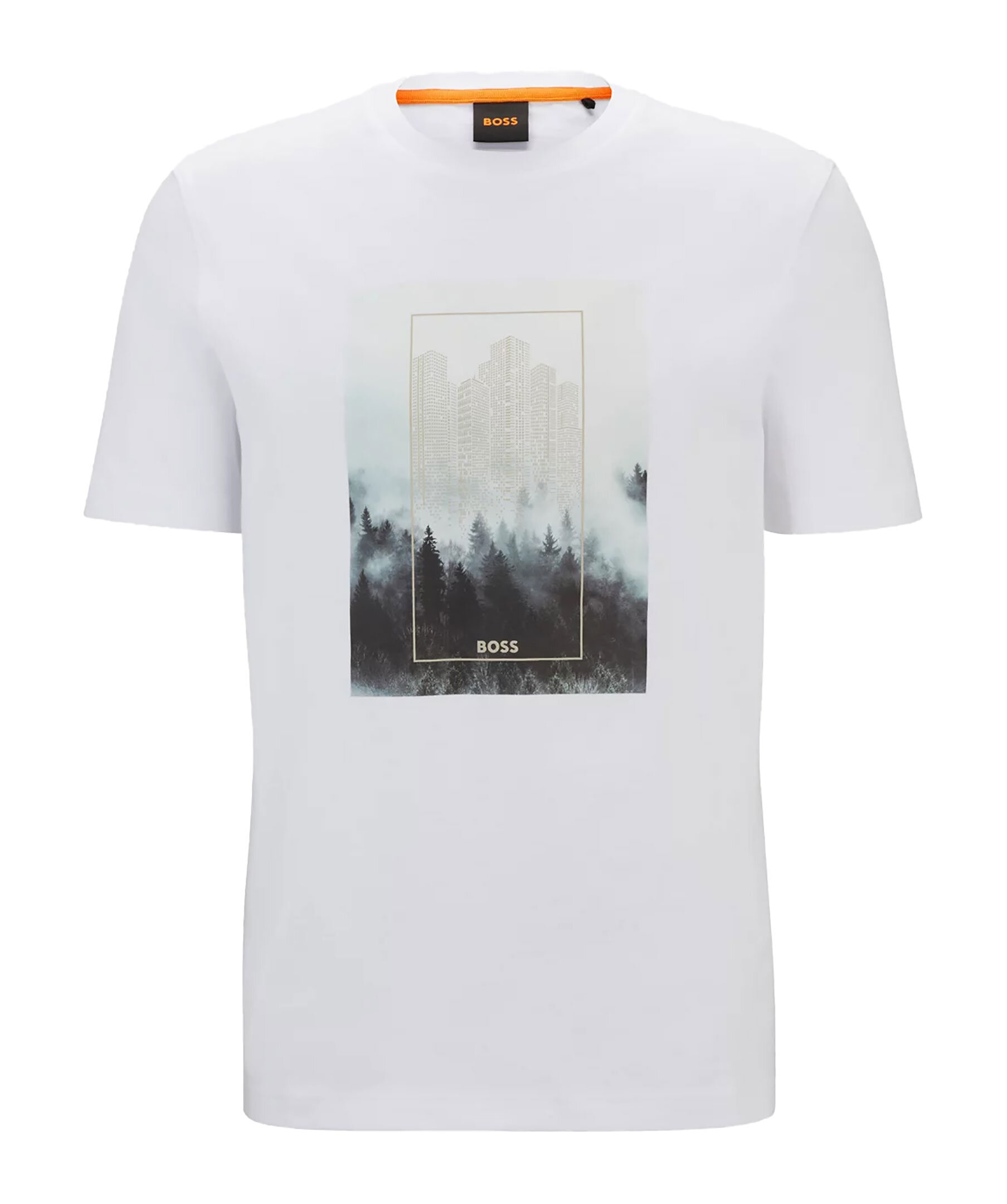 Te forest 1