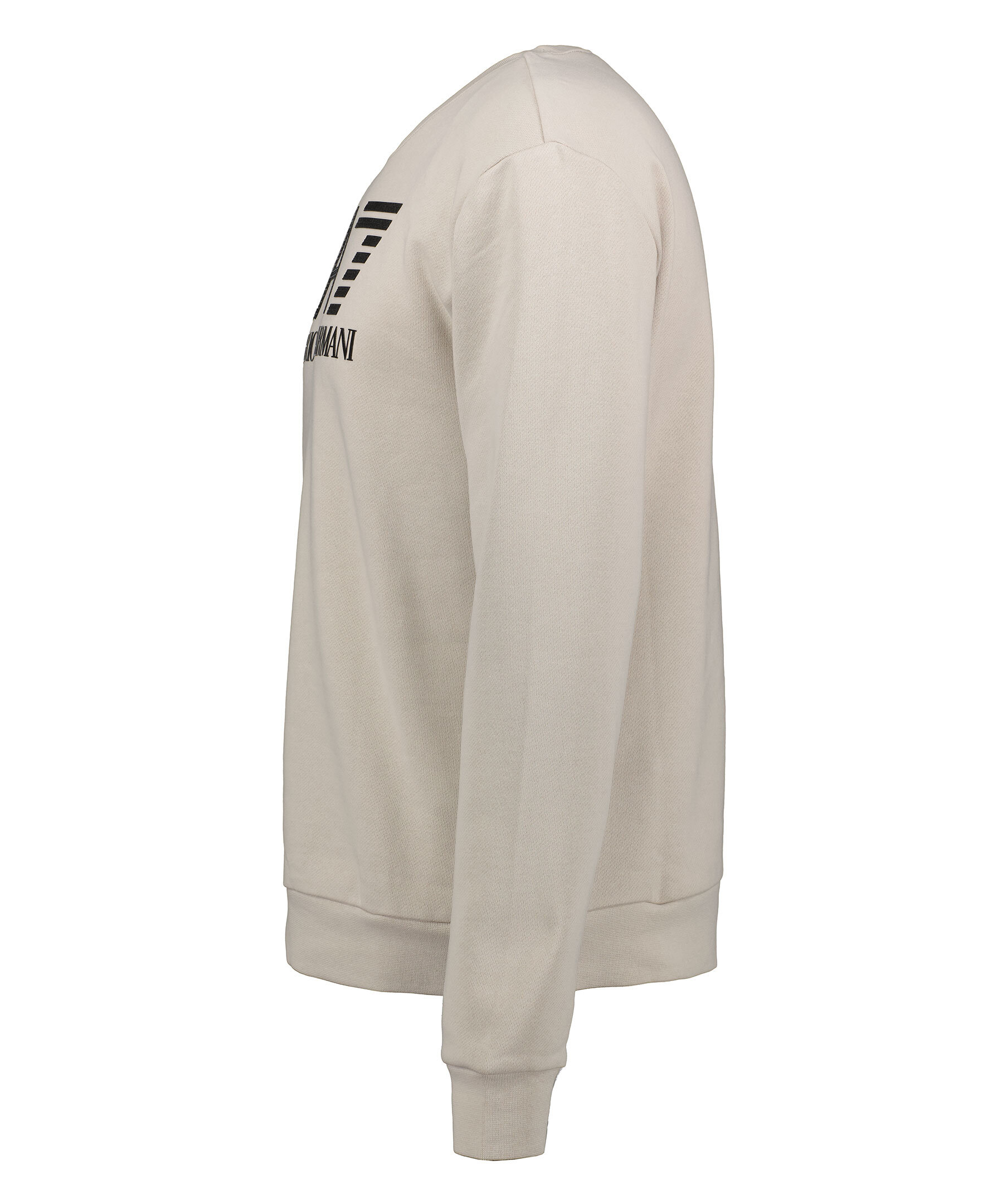 Big Print Sweatshirt 3