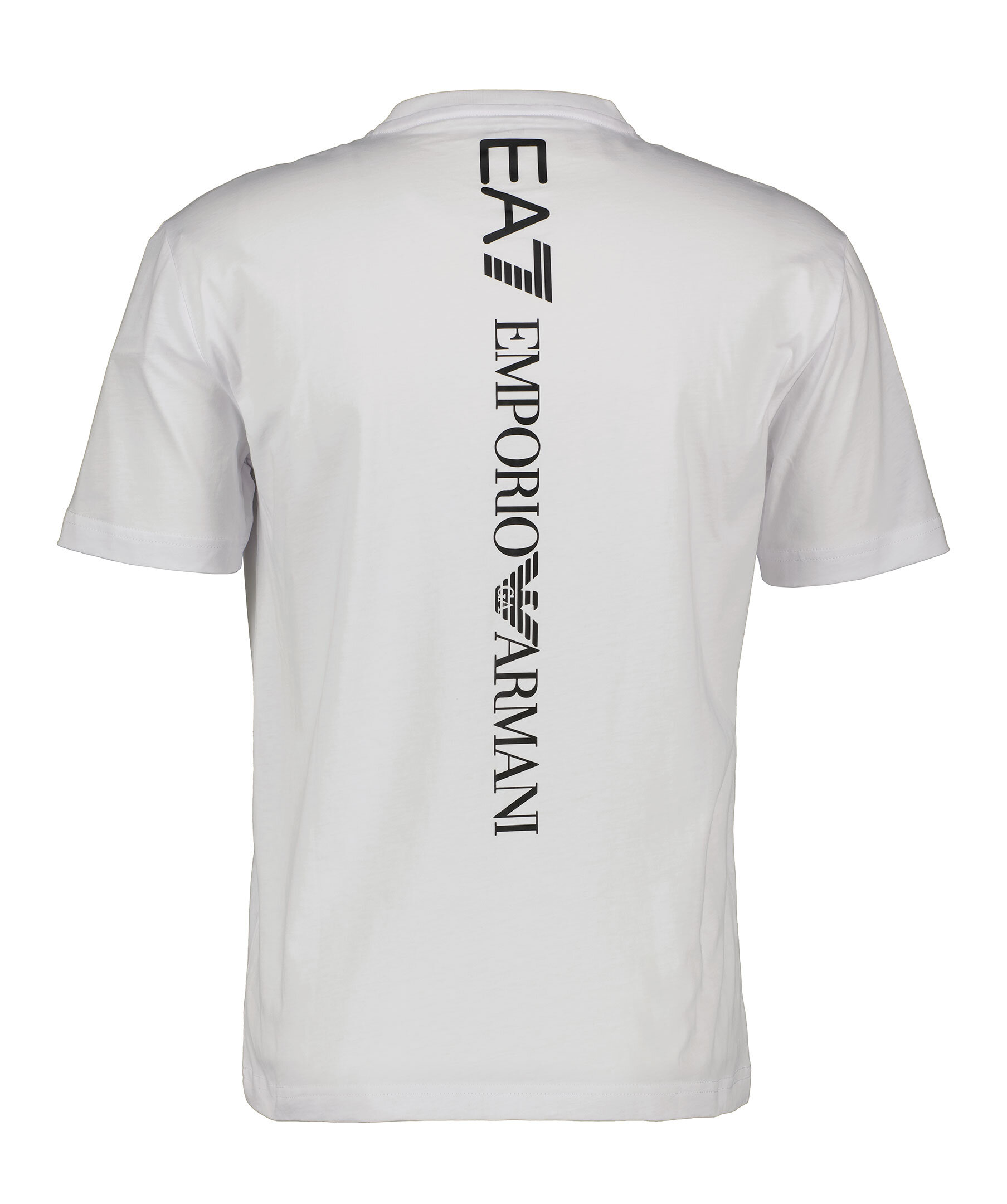 Basic T Shirt 2