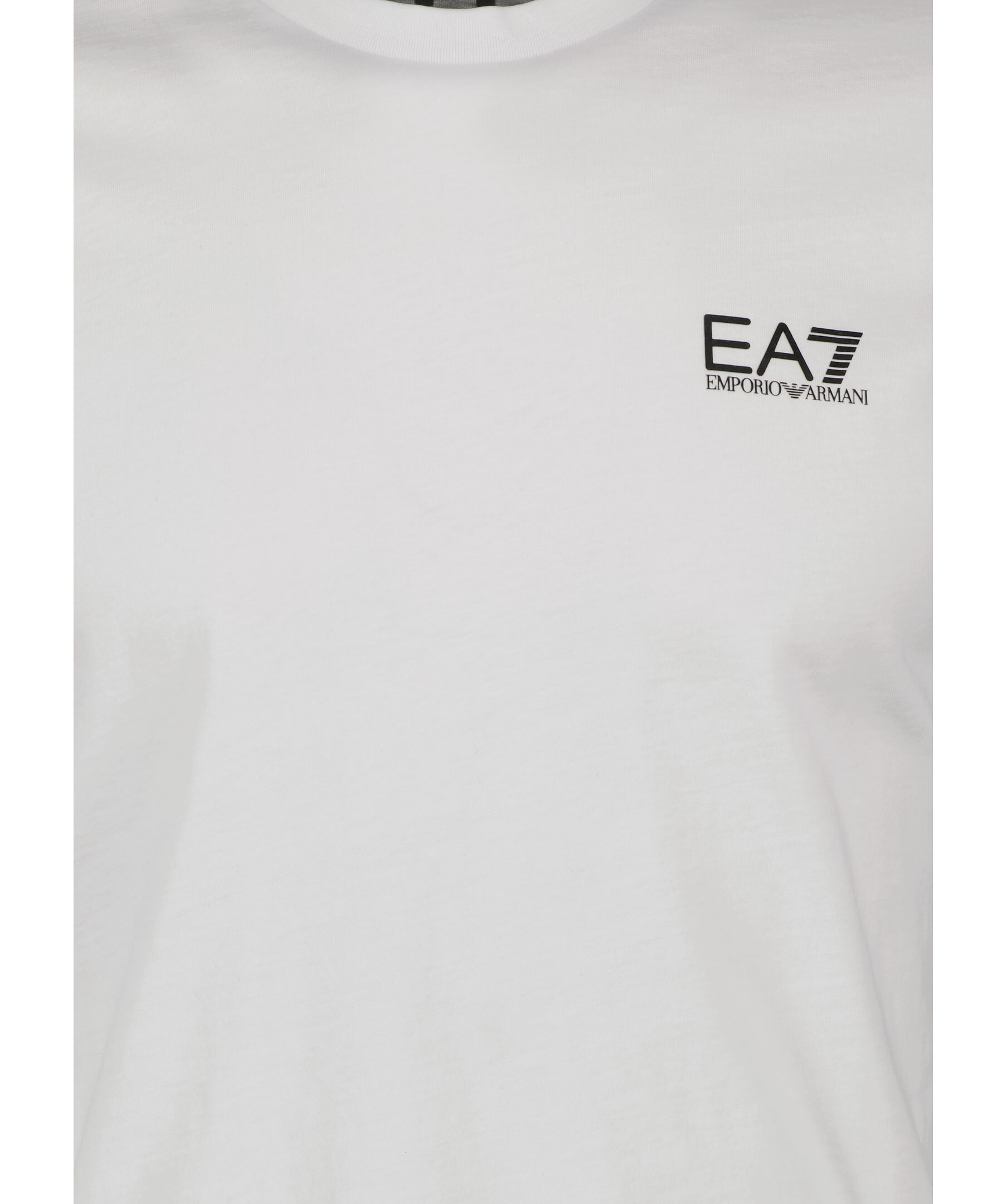 Basic T Shirt 3