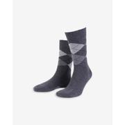 True Argyle Sock