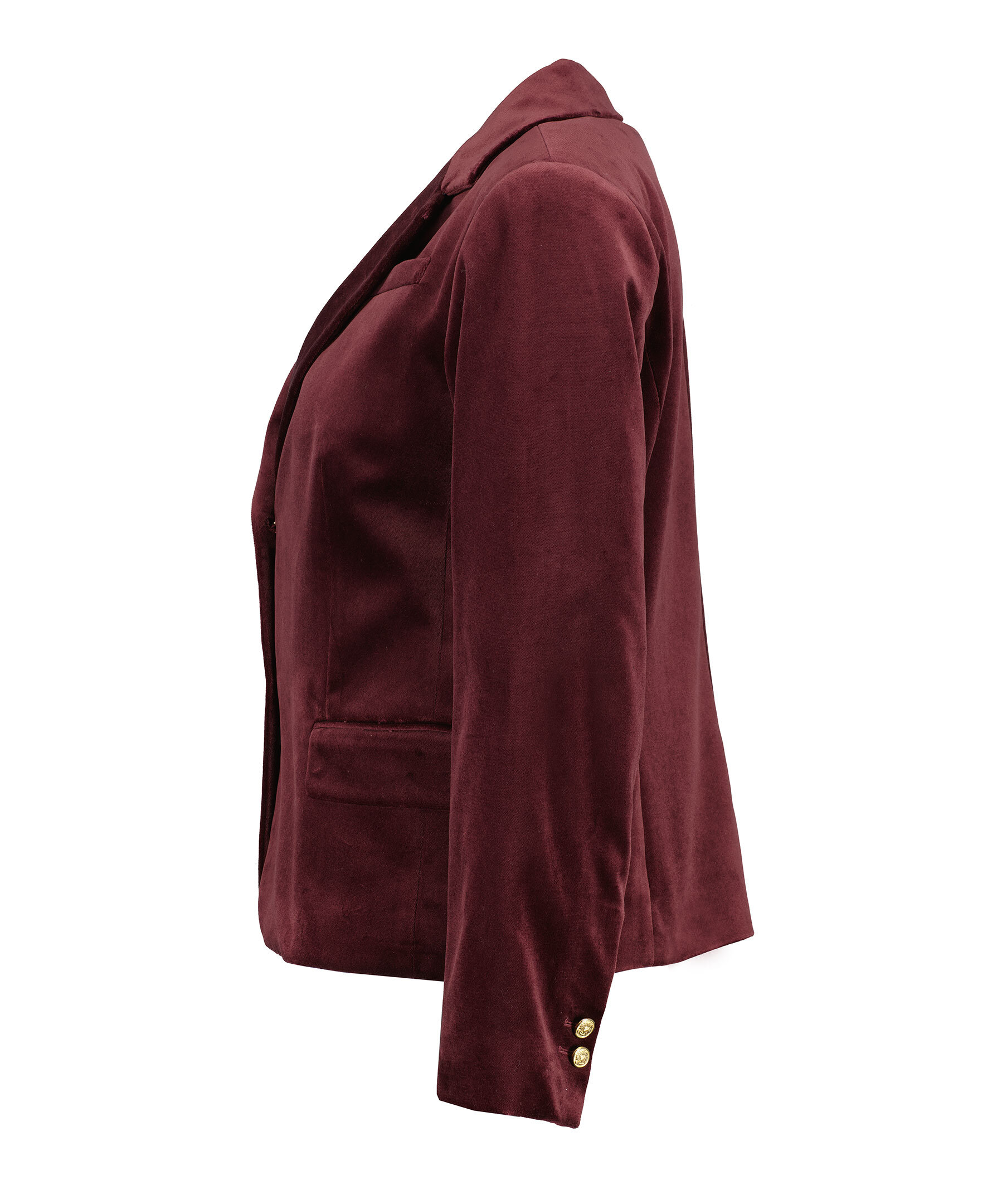 Sandra Velvet Blazer 2