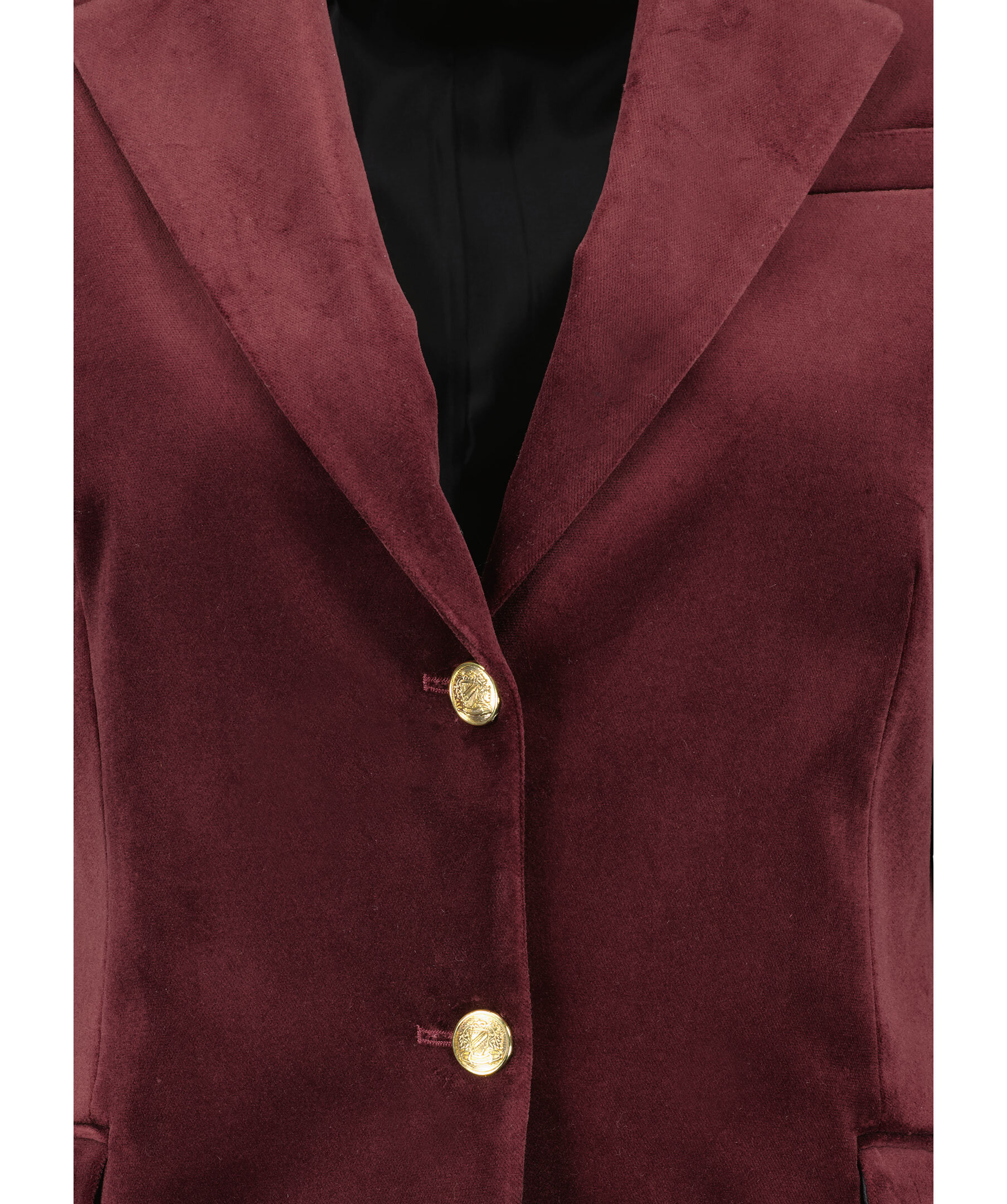 Sandra Velvet Blazer 4