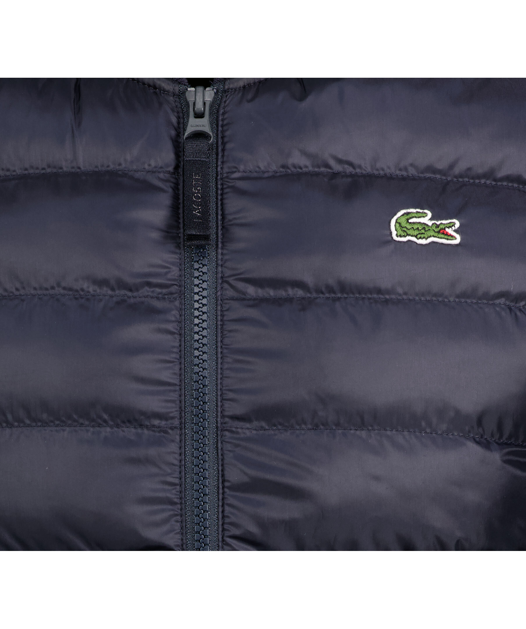 Insulated Vest 2
