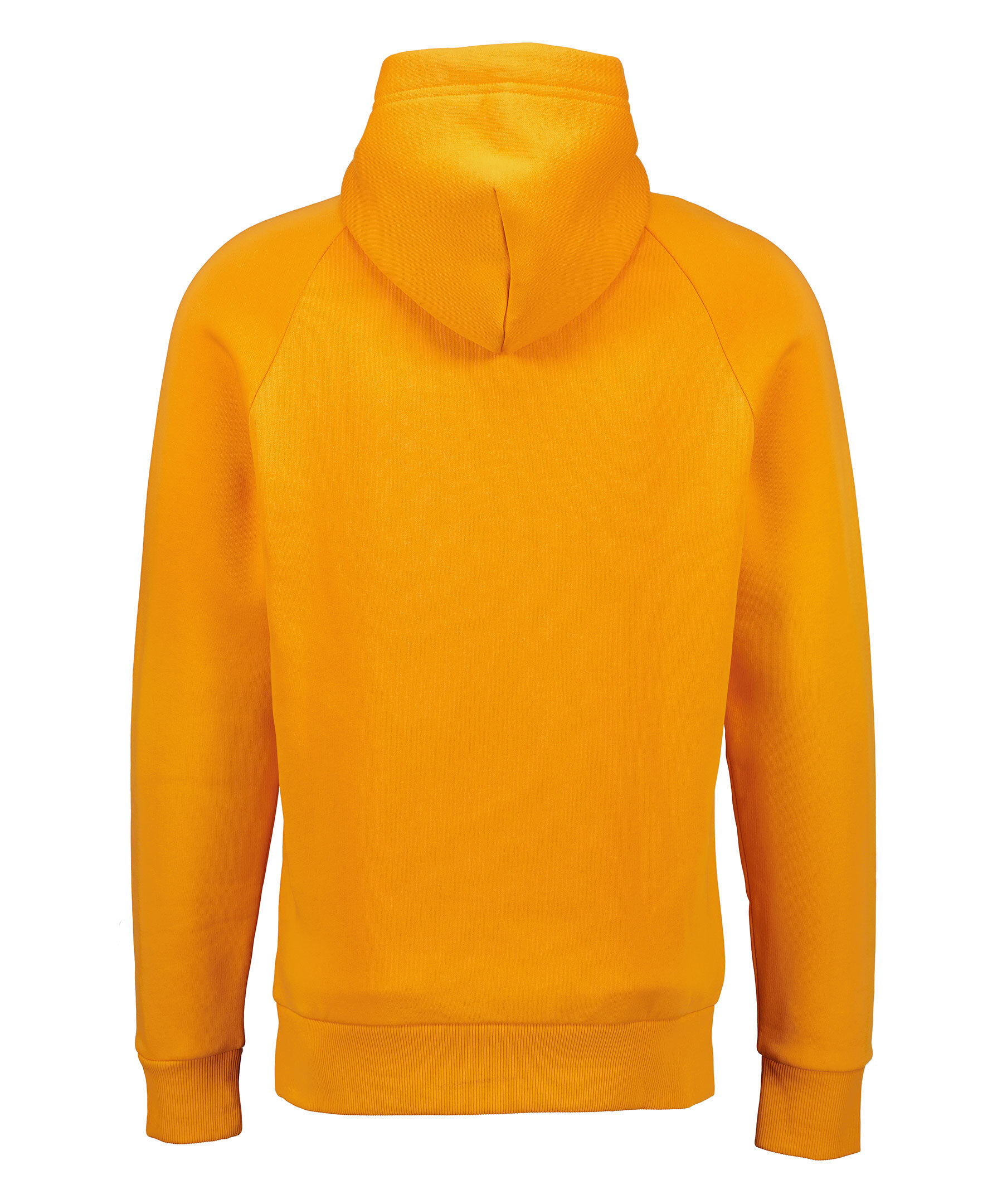 M SPW Hoodie 3