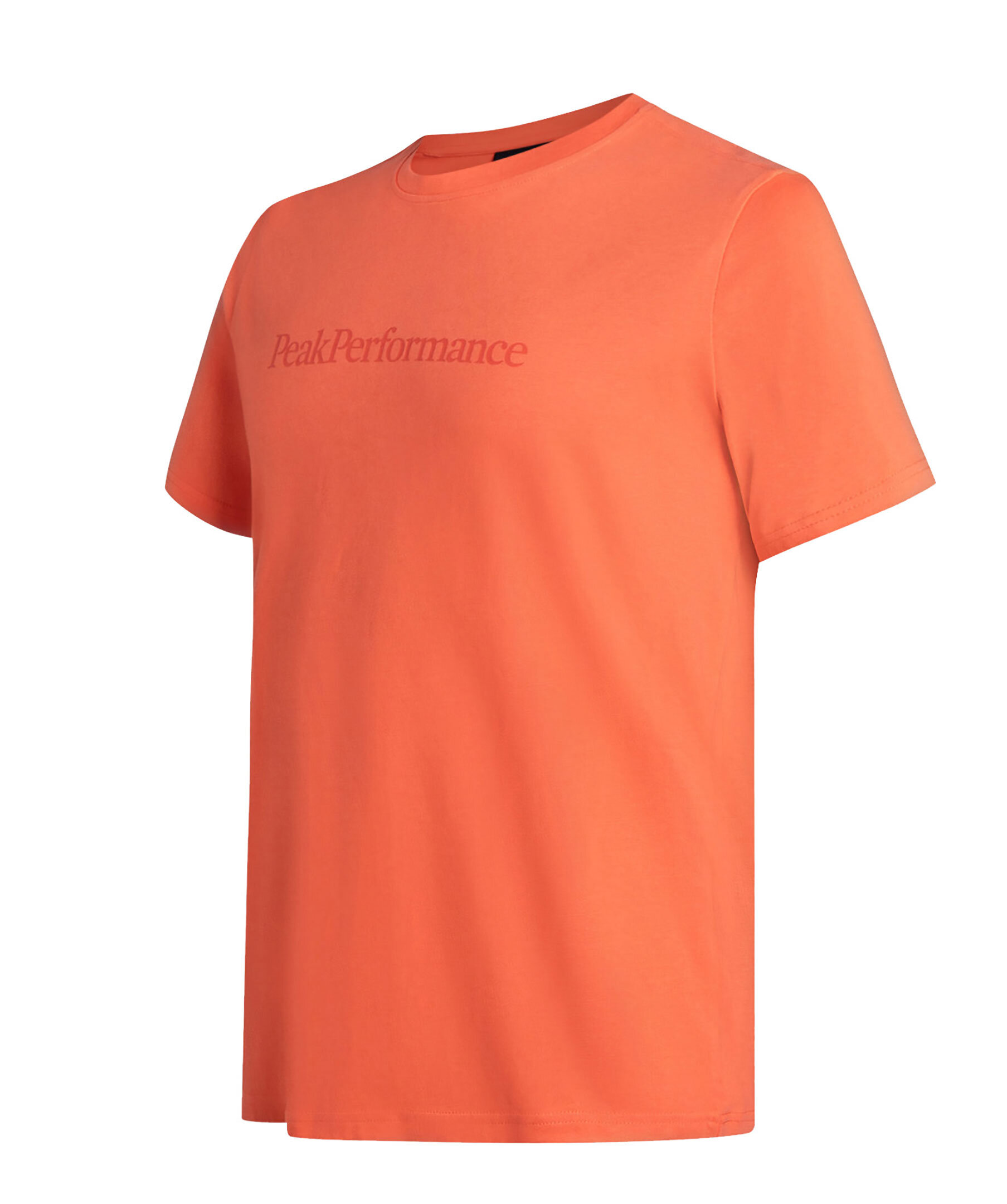 Big Logo Tee 2