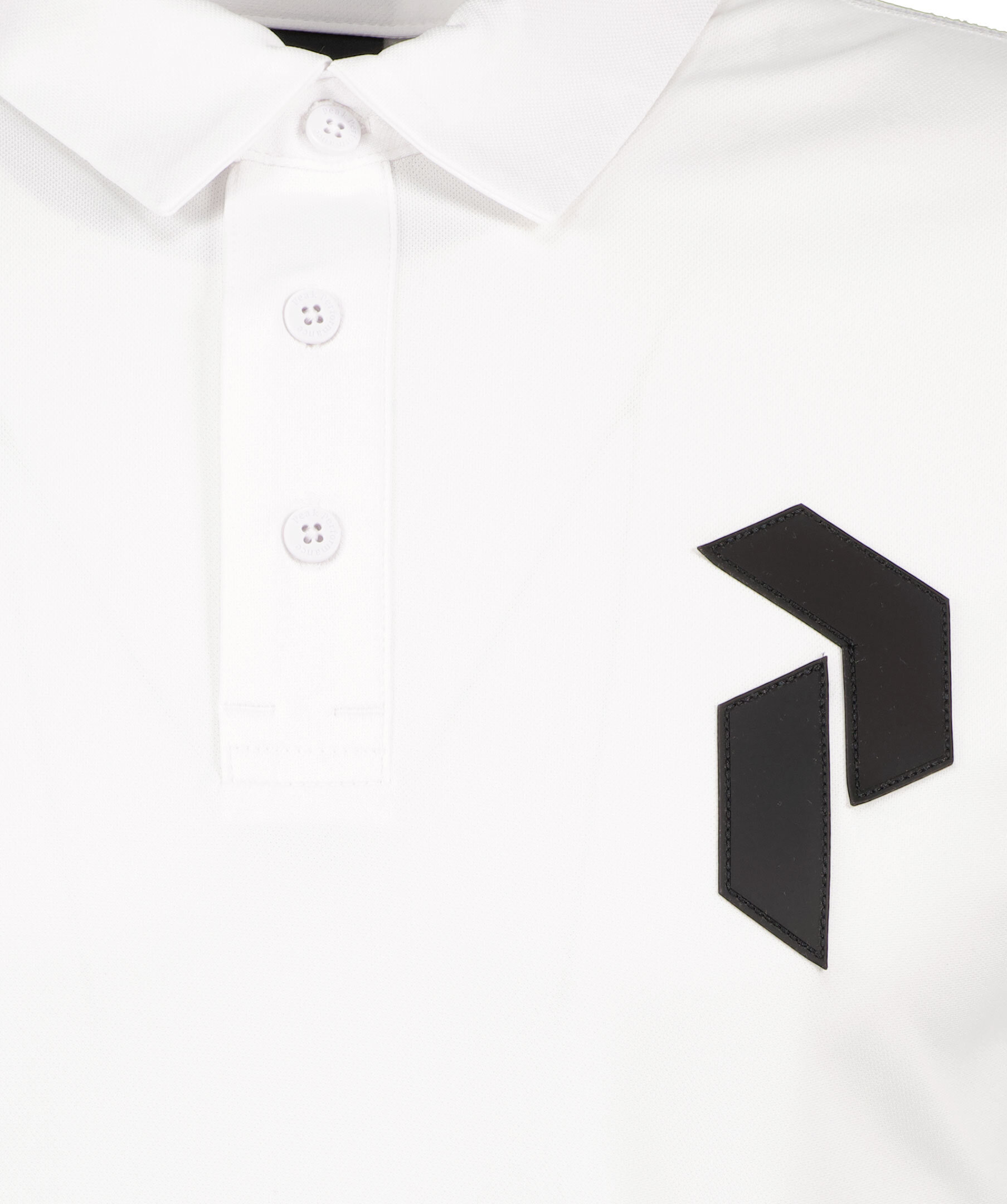 Panmore Polo 2