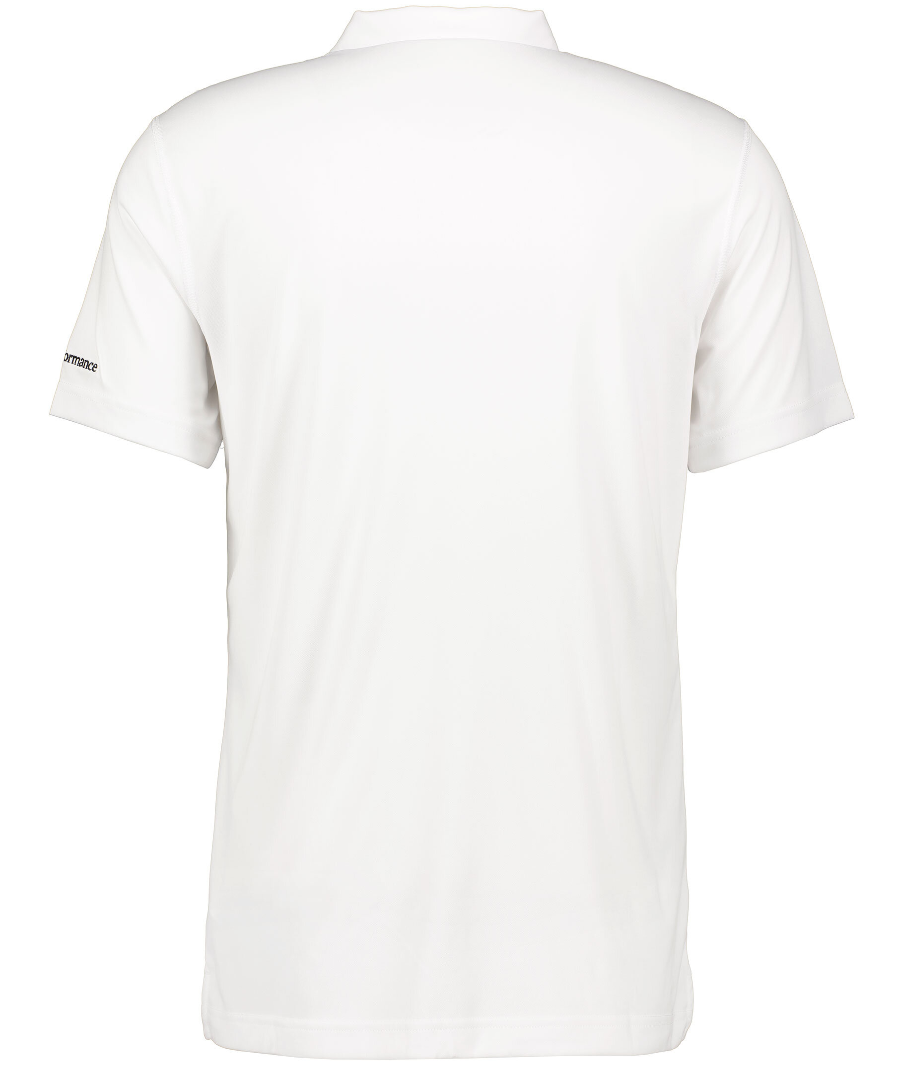 Panmore Polo 3