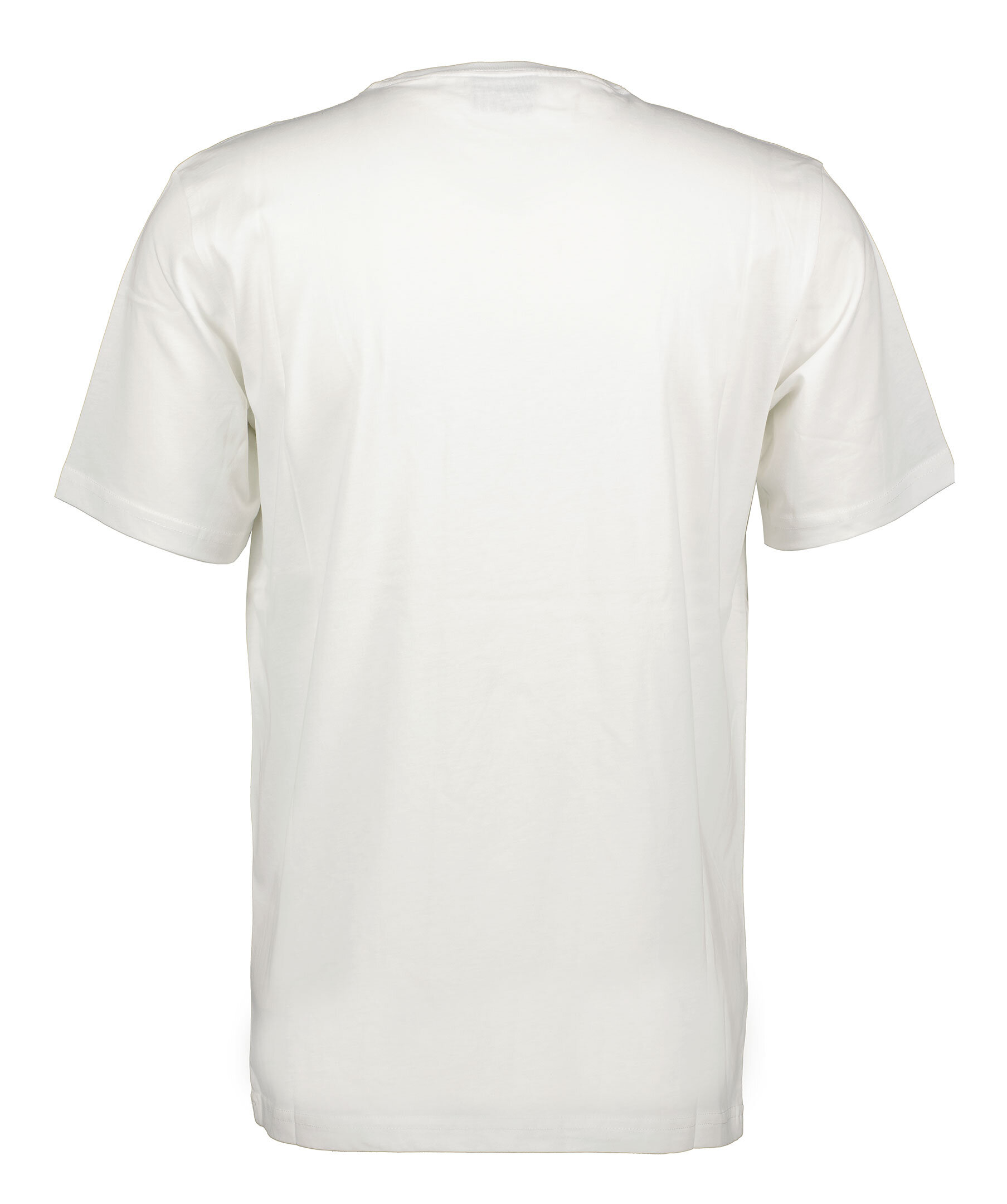 Tshirt Teddy Skeleton 3