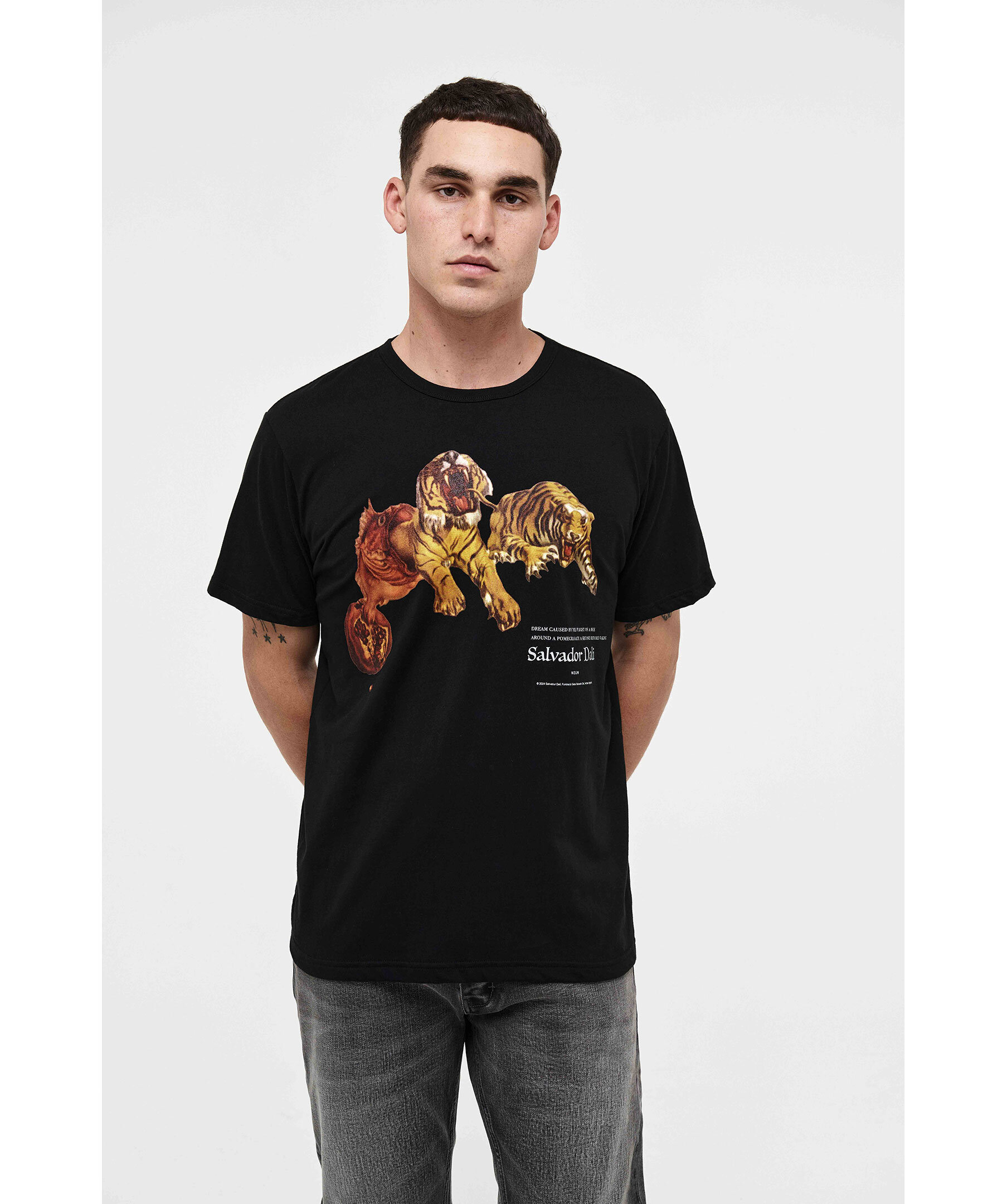 Dali Flight Tee 1