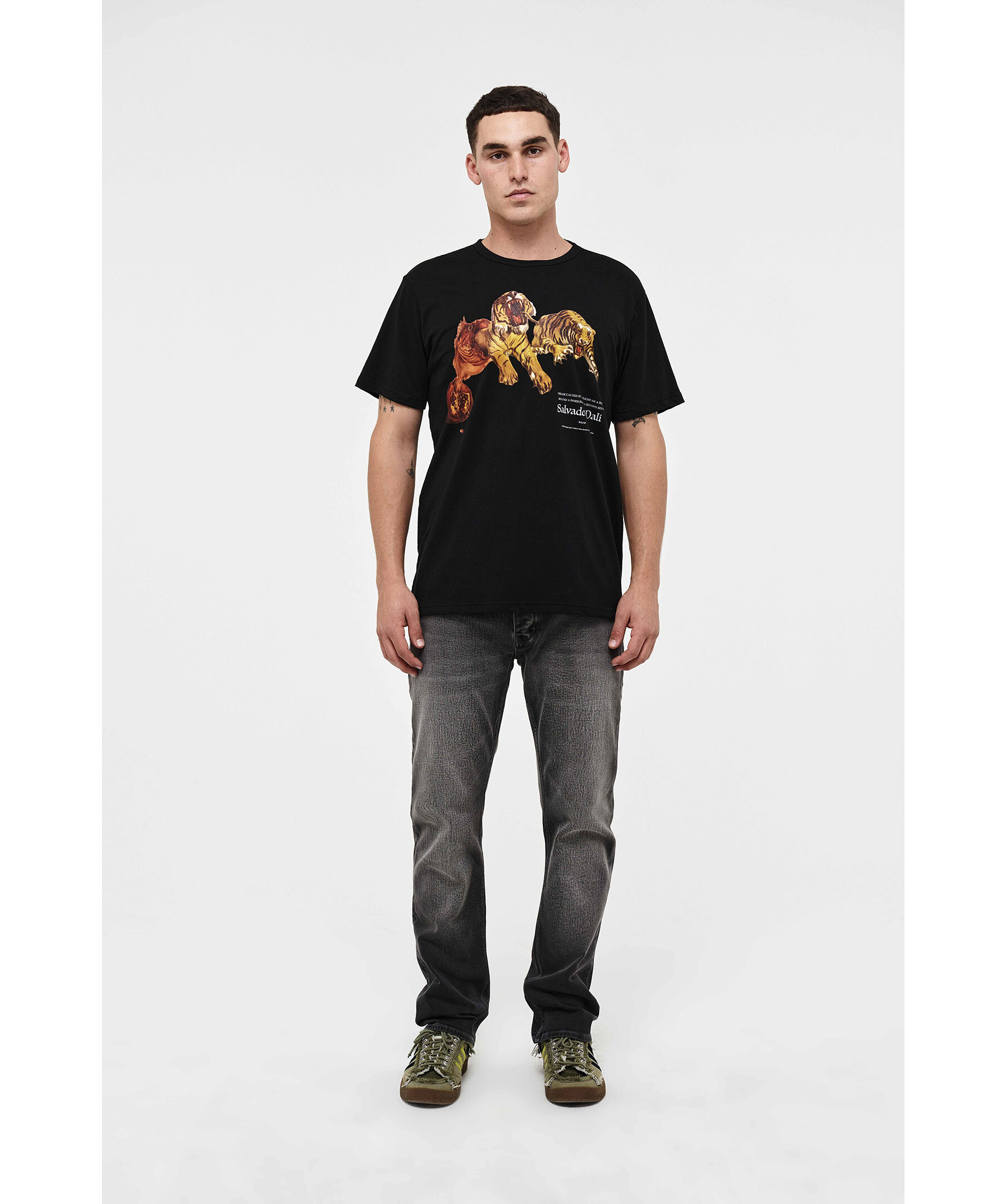 Dali Flight Tee 3