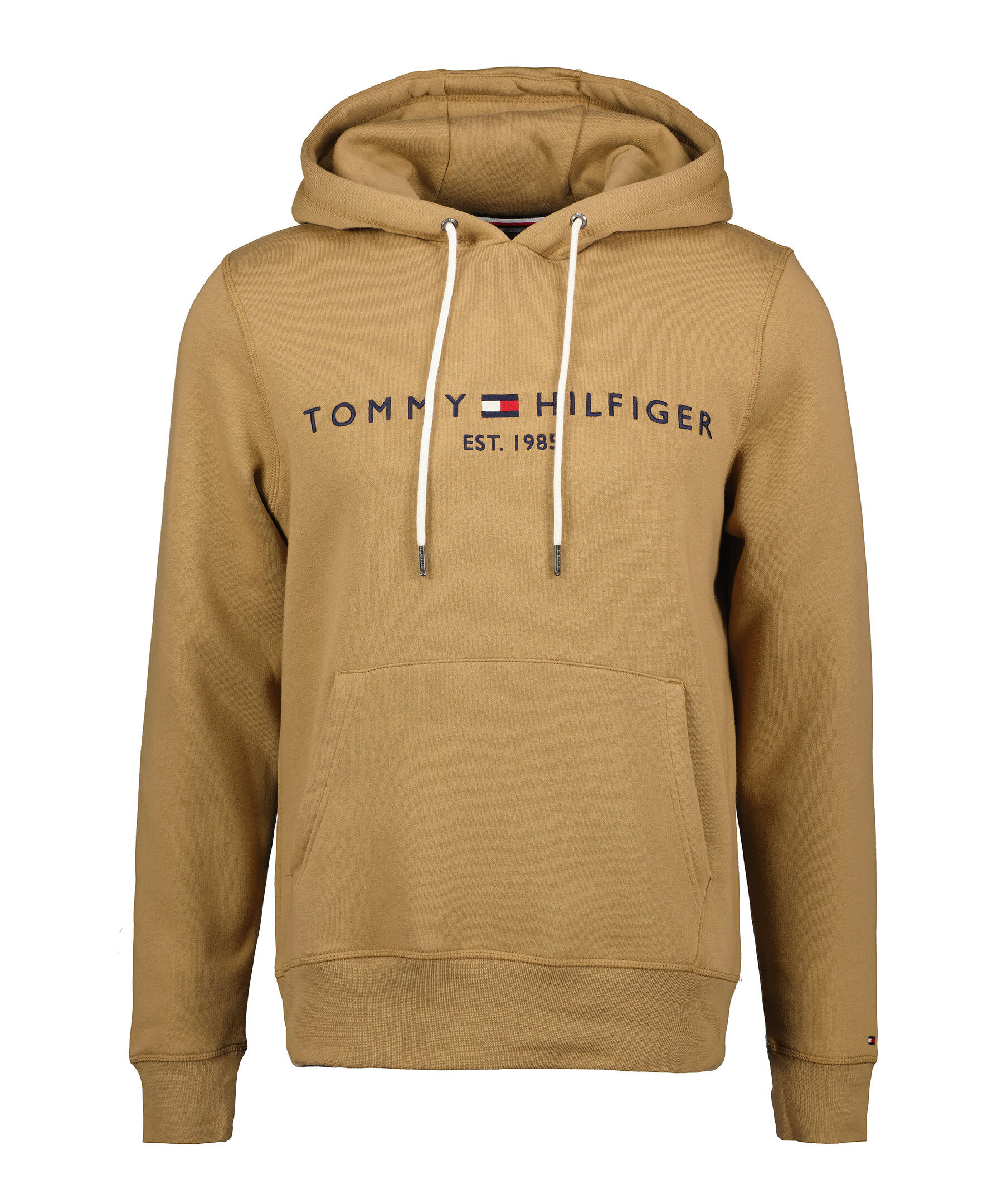 Tommy logo hoody 1