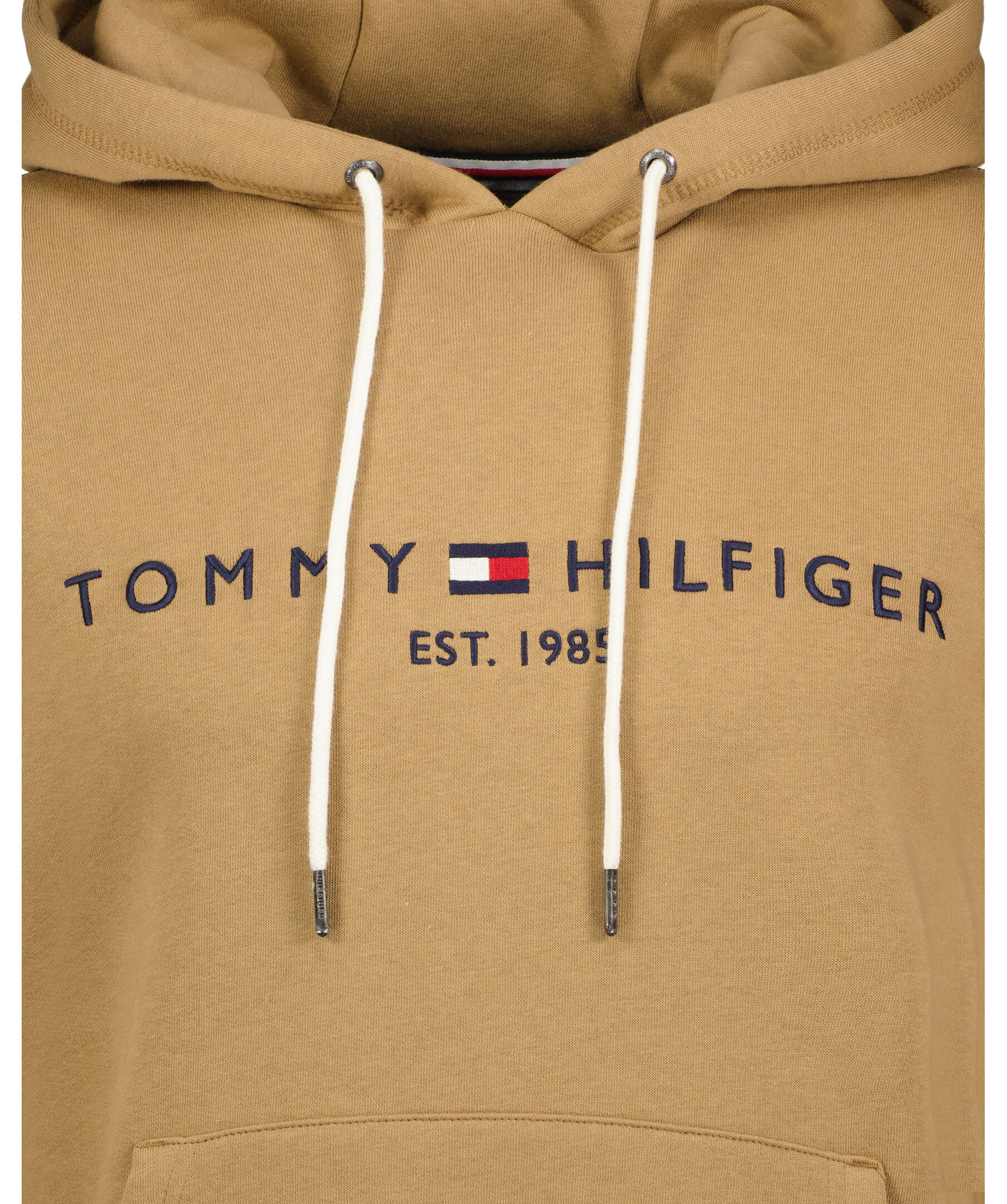 Tommy logo hoody 2